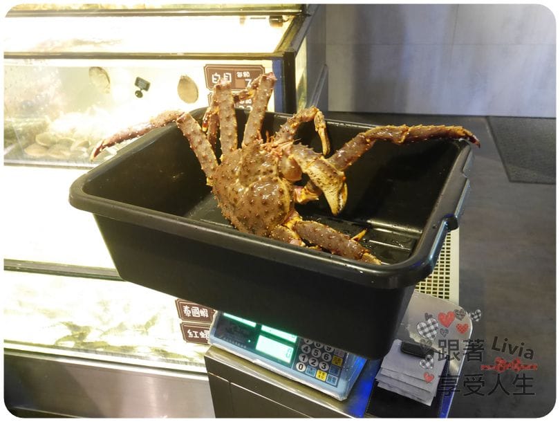 美食。餐廳 新竹縣竹北市 蒸龍宴 蒸汽 養生海鮮館 吃進食材最初的原味 帝王蟹超鮮美啊! 跟著Livia享受人生蒸龍宴