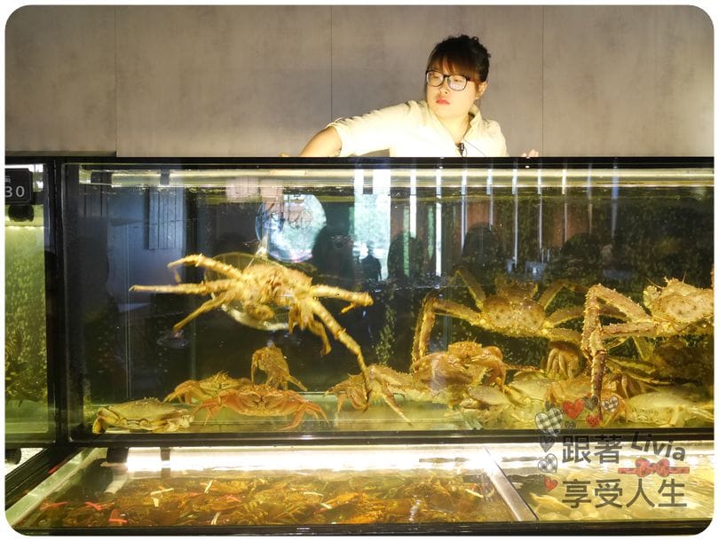 美食。餐廳 新竹縣竹北市 蒸龍宴 蒸汽 養生海鮮館 吃進食材最初的原味 帝王蟹超鮮美啊! 跟著Livia享受人生蒸龍宴