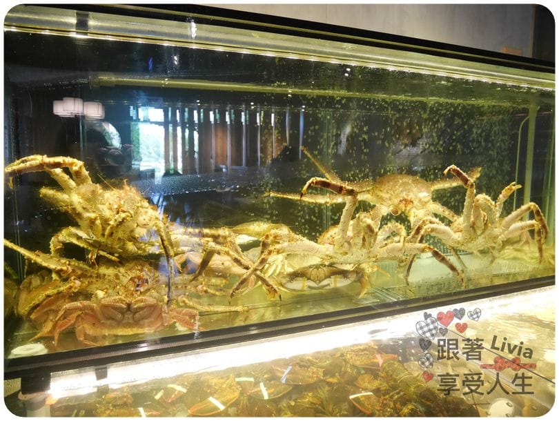 美食。餐廳 新竹縣竹北市 蒸龍宴 蒸汽 養生海鮮館 吃進食材最初的原味 帝王蟹超鮮美啊! 跟著Livia享受人生蒸龍宴