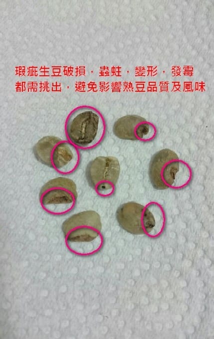 瑕疵豆2