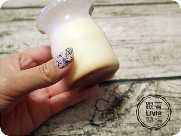 美食。點心 宅配美食 台南 艾克雷亞Eclair法式烘培 巧克力蔓越莓乳酪/日式燒烤乳酪/法式重乳酪/香草布丁 甜蜜在心頭兒 跟著Livia享受人生