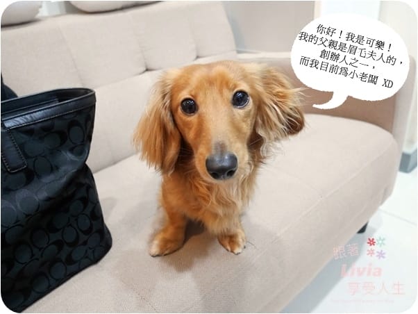 臉部。保養 台北大安區 信義安和捷運站 眉毛夫人 eyebrows lady 深層清潔調理每寸肌膚 清粉刺/修眉毛/接睫毛/護膚保養 跟著Livia享受人生