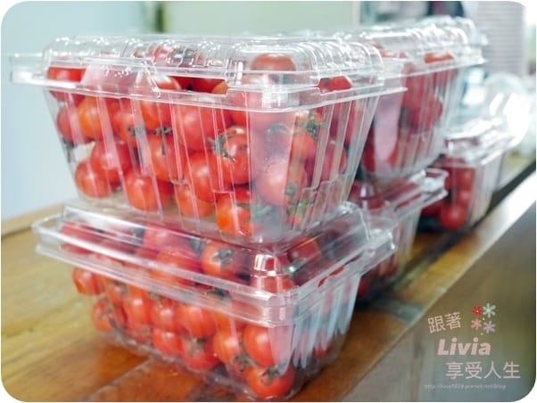 美食。飲料 台北士林區 石牌捷運站 石牌商城 甜心芭樂汁 整顆芭樂原汁原味 超濃果汁 喝了會上癮阿!跟著Livia享受人生