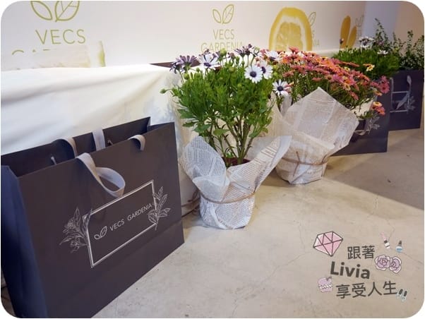 【台灣保養品】Vecs Gardenia 嘉丹妮爾 VITAMIN 維他命C植萃亮白奇蹟系列母親節禮盒推薦 跟著Livia享受人生