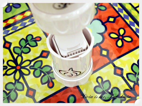 0905-Garlic Cutter6