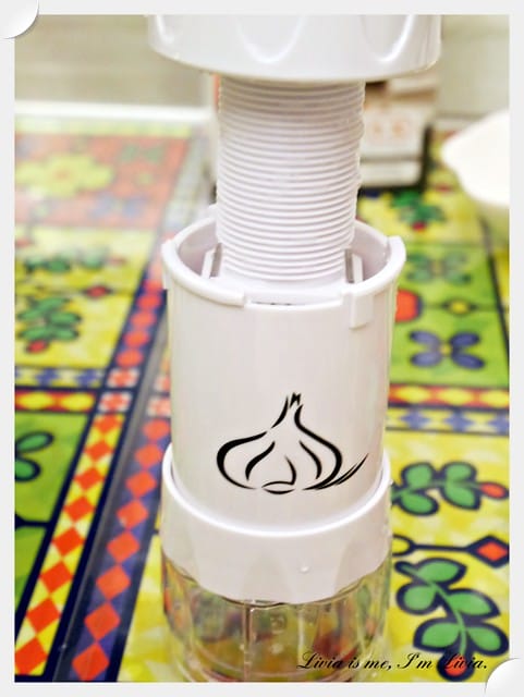 0905-Garlic Cutter15