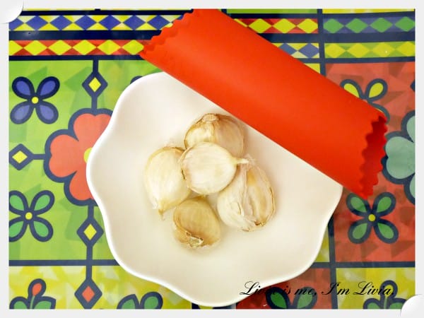 0905-Garlic Cutter9