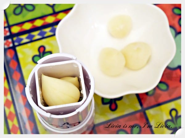 0905-Garlic Cutter14