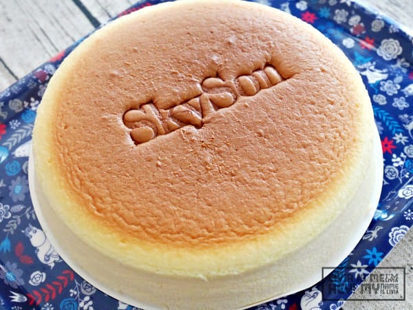 0925-SkySon6