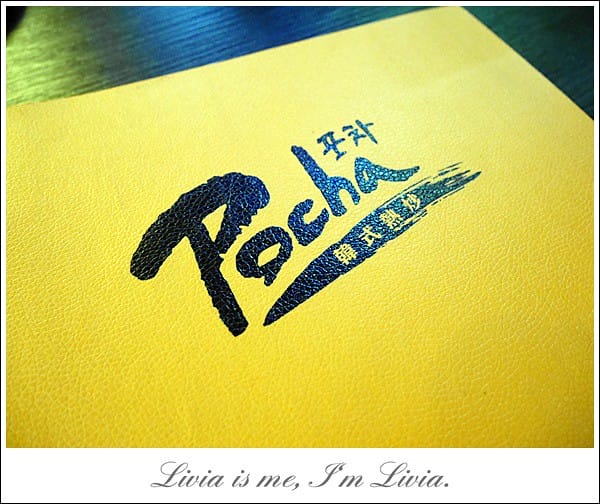 1003-POCHA (5)