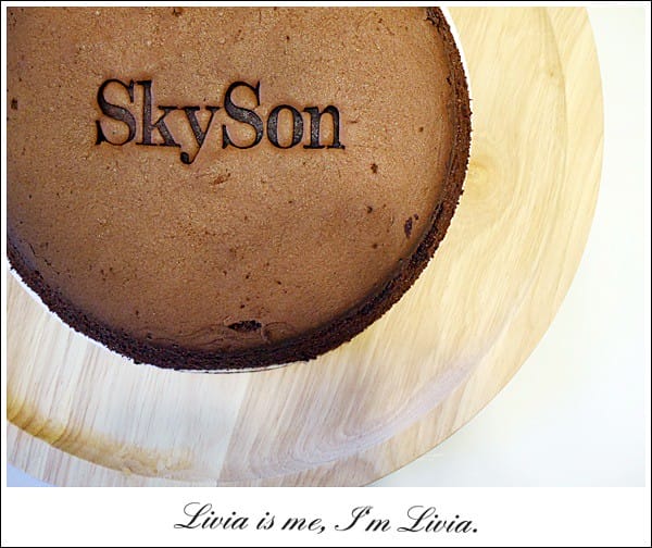 1026-Skyson