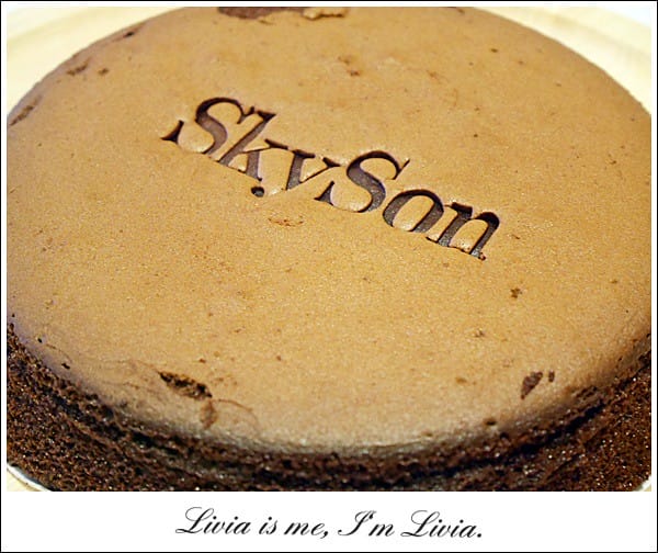 1026-Skyson (1)