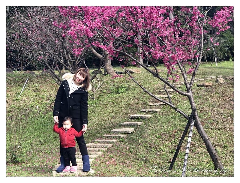 國內住宿新北淡水區 新北淡水 淡水親子一日遊 日光行館 草原風 主題民宿/親子餐廳/景觀餐廳/寵物友善/親子住宿 跟著Livia享受人生 - 第45張圖 20180130_180130_0005