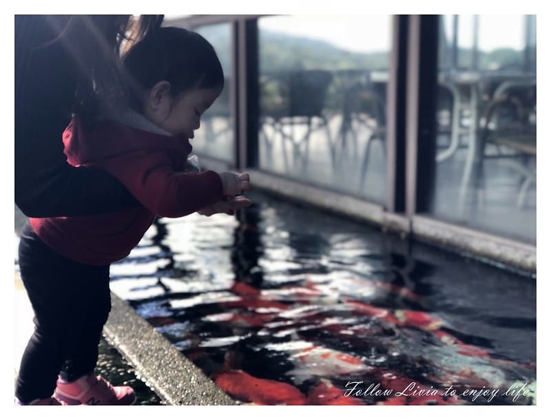 國內住宿新北淡水區 新北淡水 淡水親子一日遊 日光行館 草原風 主題民宿/親子餐廳/景觀餐廳/寵物友善/親子住宿 跟著Livia享受人生 - 第42張圖 20180130_180130_0002
