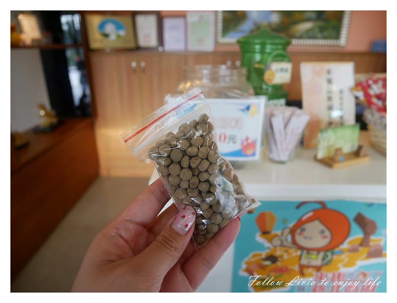 國內住宿新北淡水區 新北淡水 淡水親子一日遊 日光行館 草原風 主題民宿/親子餐廳/景觀餐廳/寵物友善/親子住宿 跟著Livia享受人生 - 第41張圖 P1200357