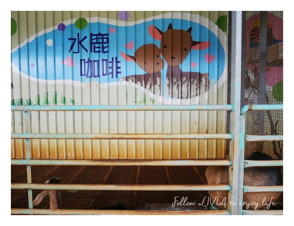 水鹿咖啡親子餐廳 (29)