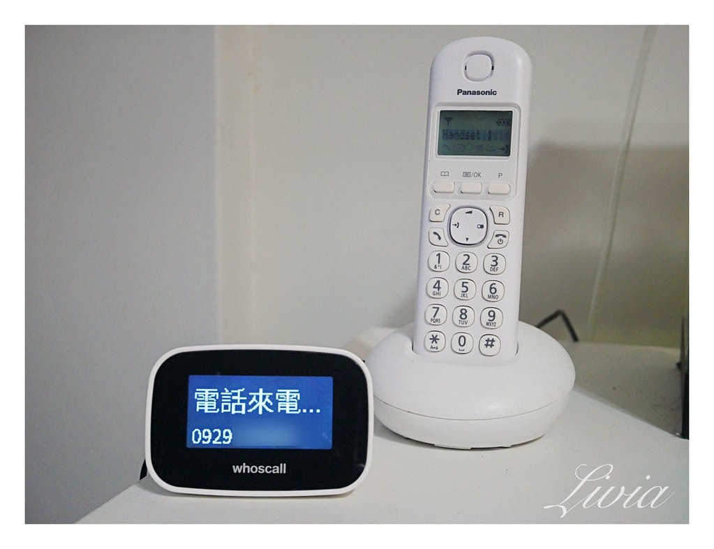 batch_P1090648