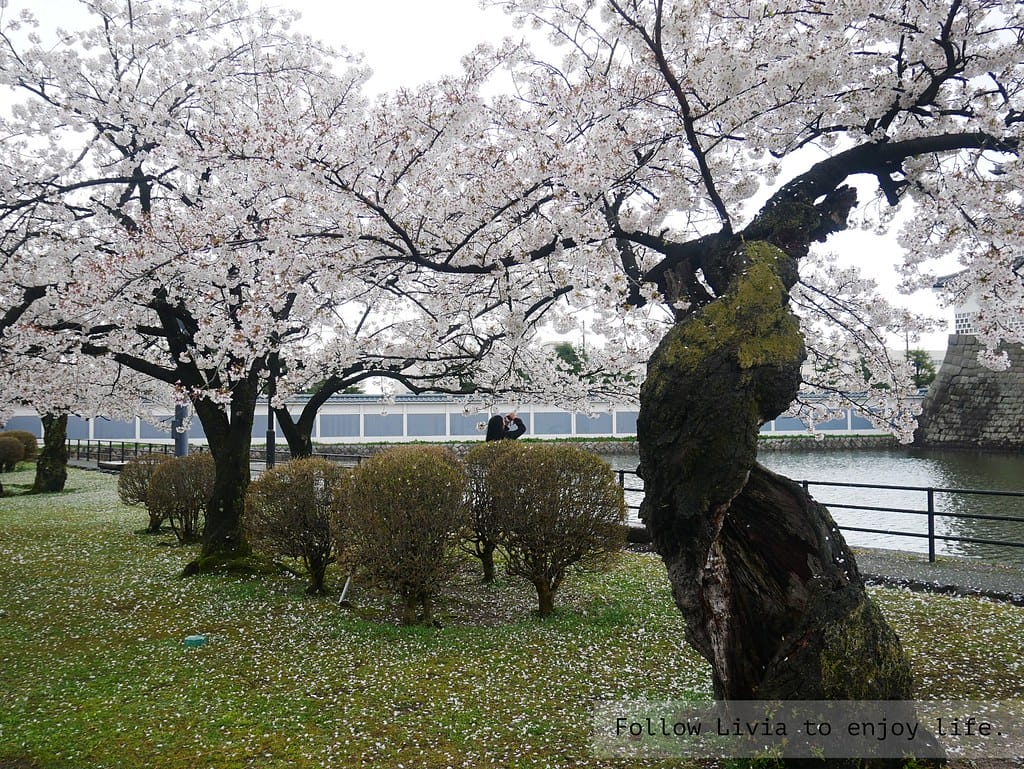 0411-新發田城9