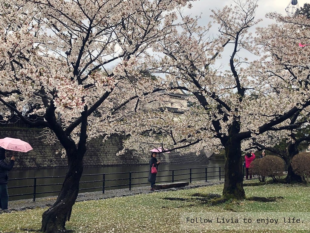 0411-新發田城5