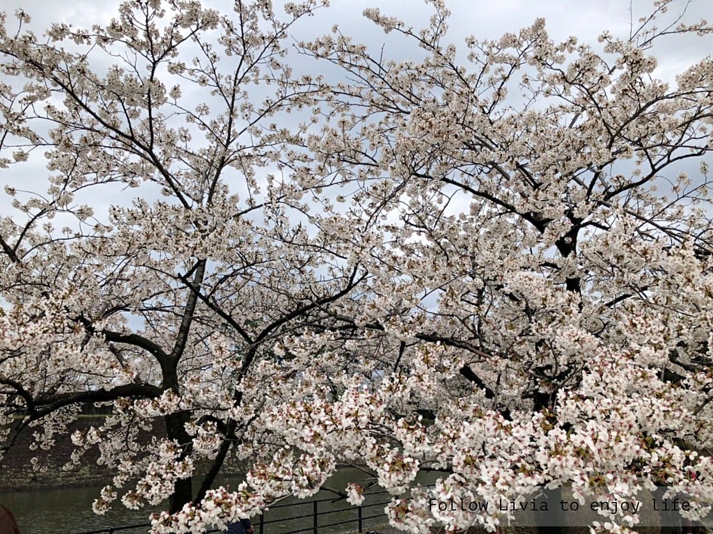 0411-新發田城23