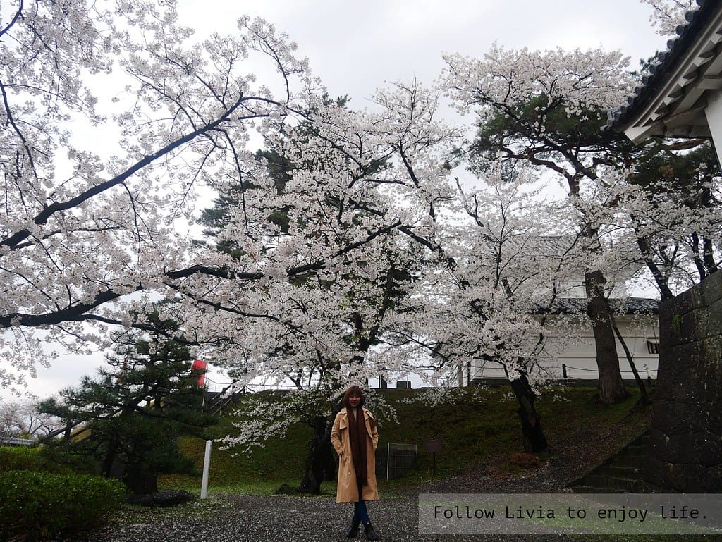 0411-新發田城18