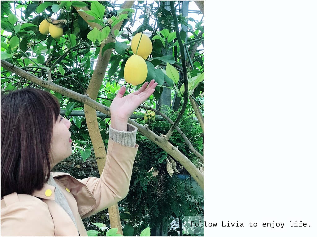 0411-白根果園24