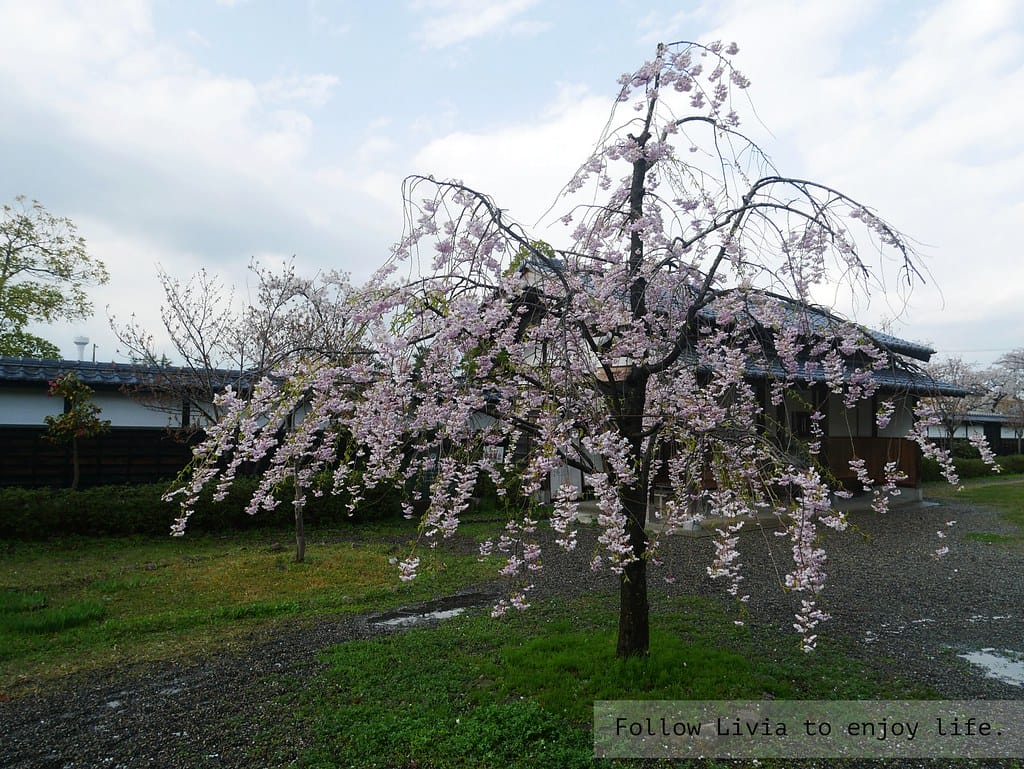 0411-新發田城16