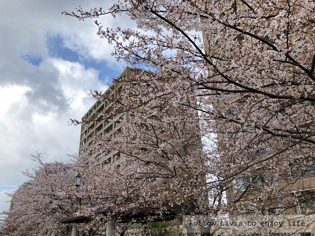 0413-信濃3