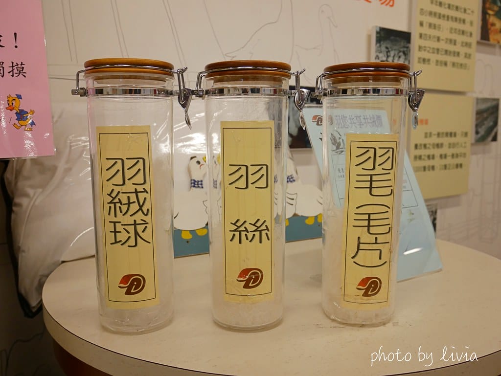 鴨博士12