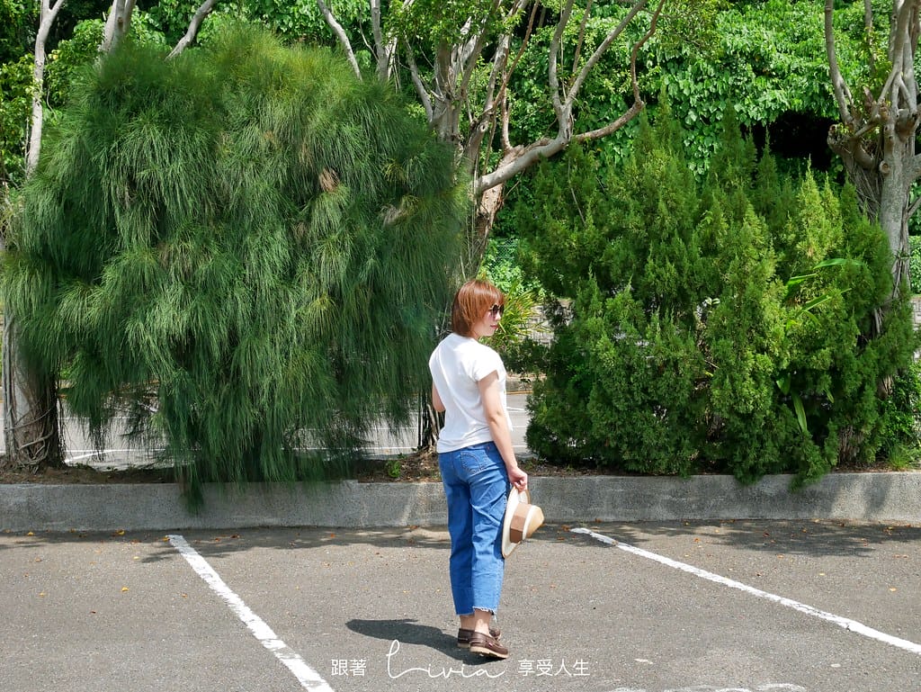 阿默10