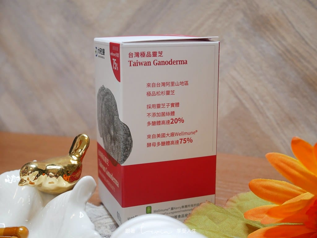 靈芝16