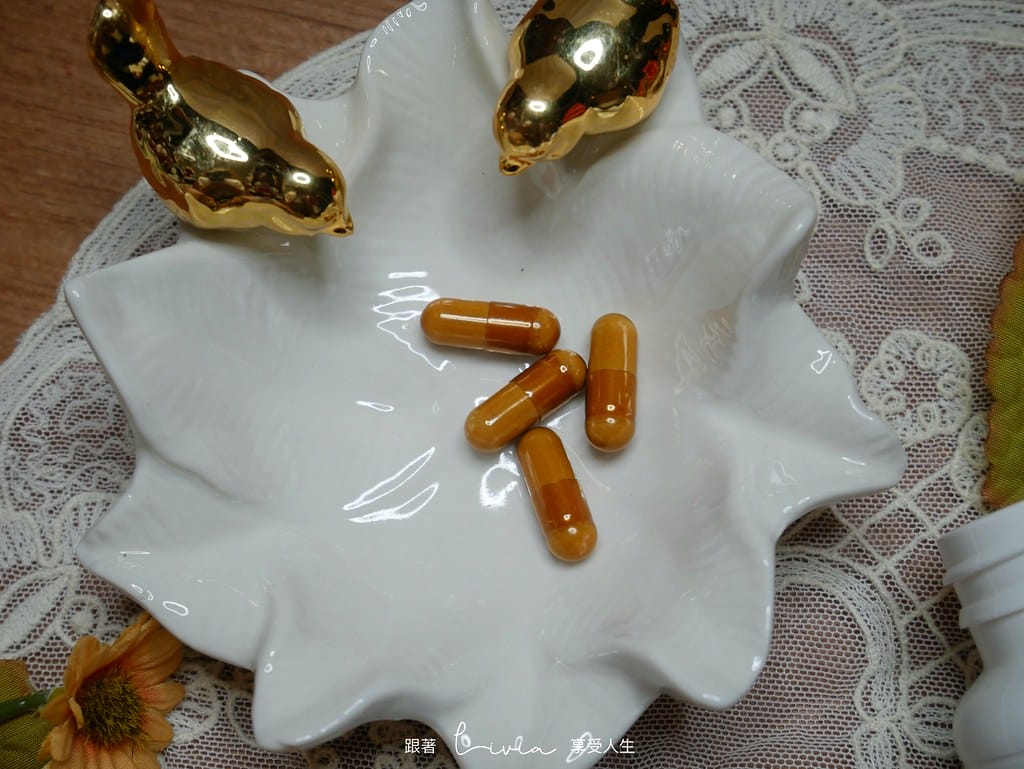 靈芝10