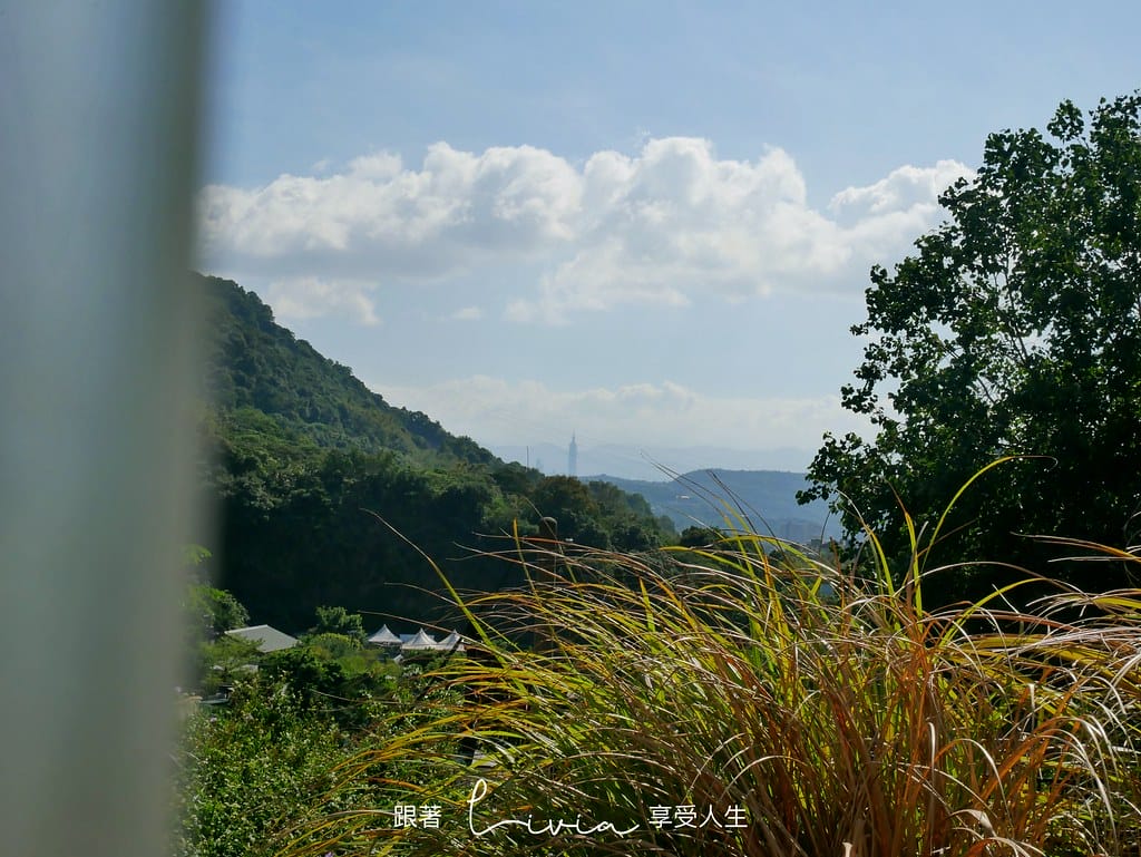 山之林47