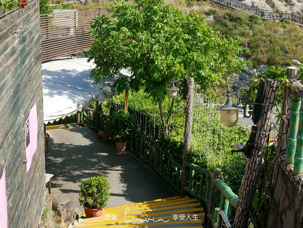 山之林3