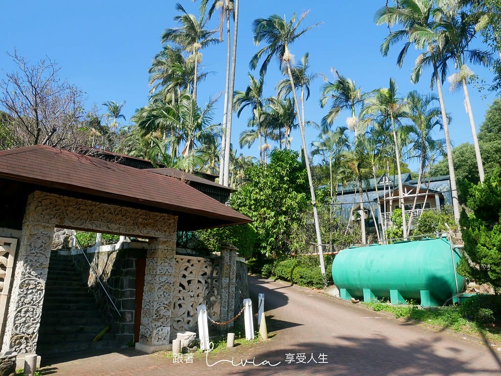 椰林6