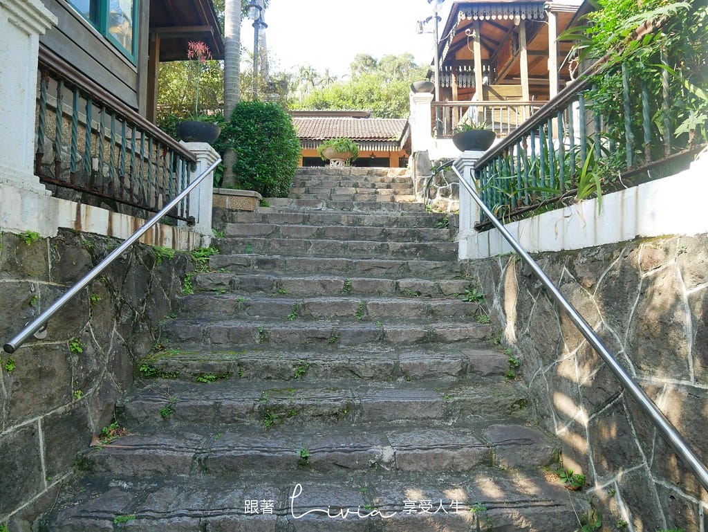 椰林8