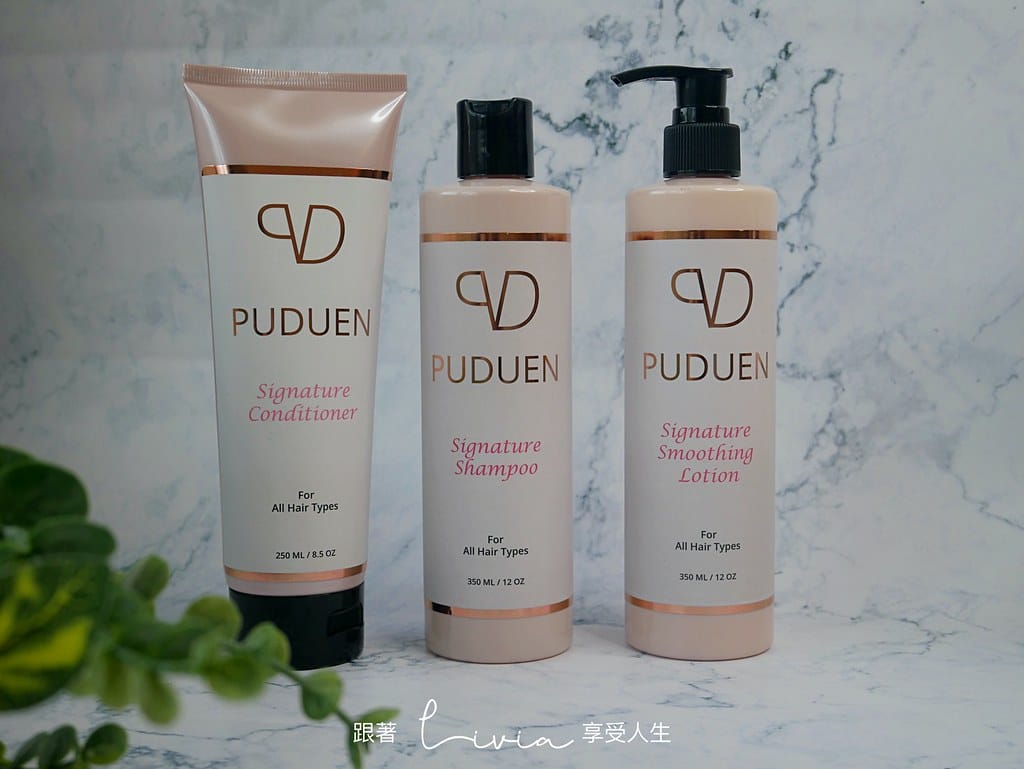 Puduen13