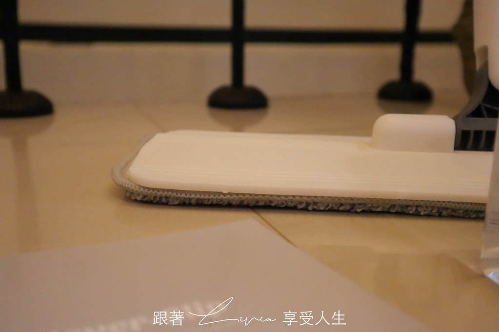 壁虎14