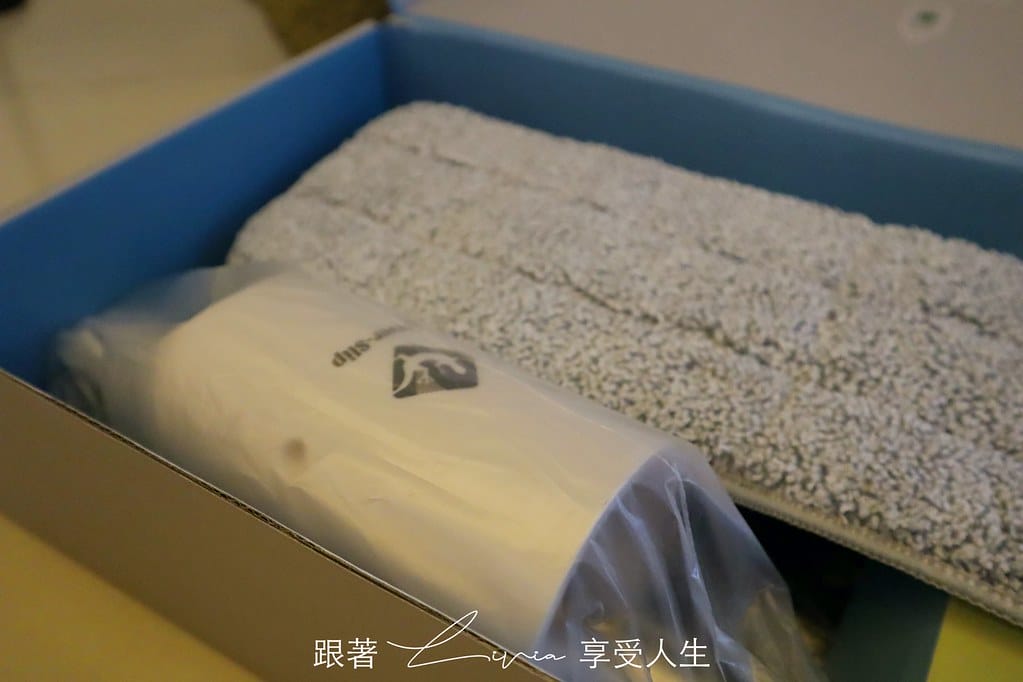 壁虎6