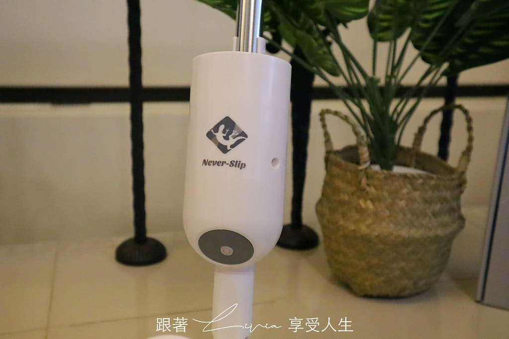 壁虎13