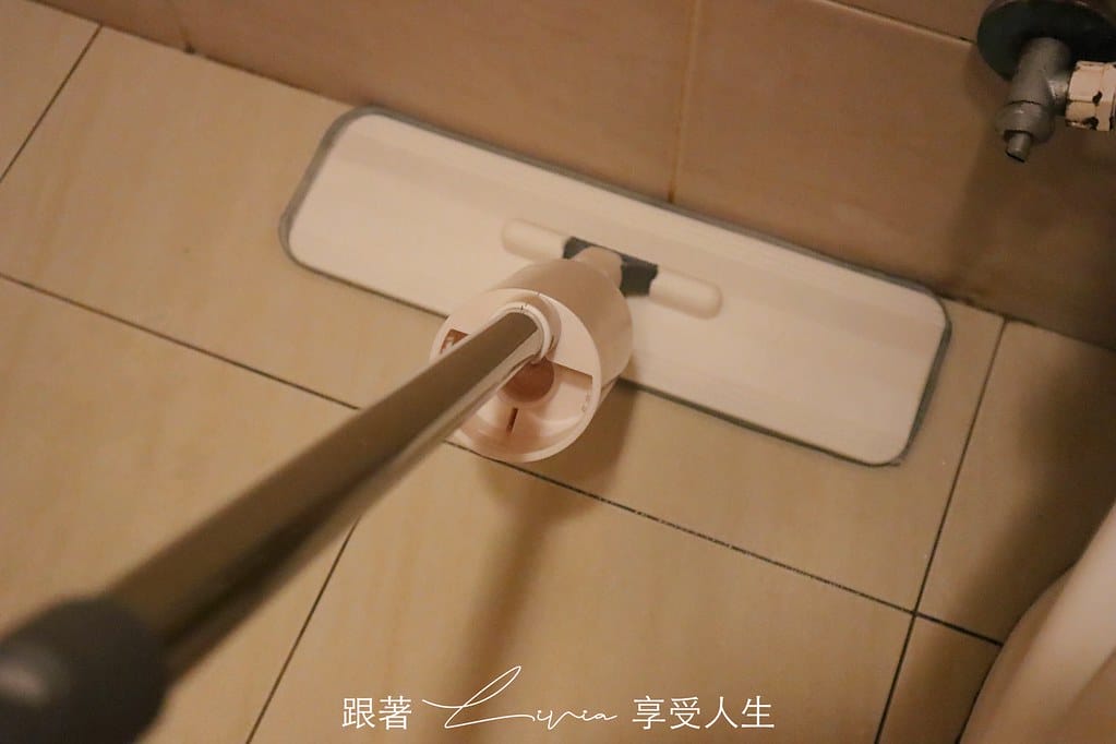 壁虎21