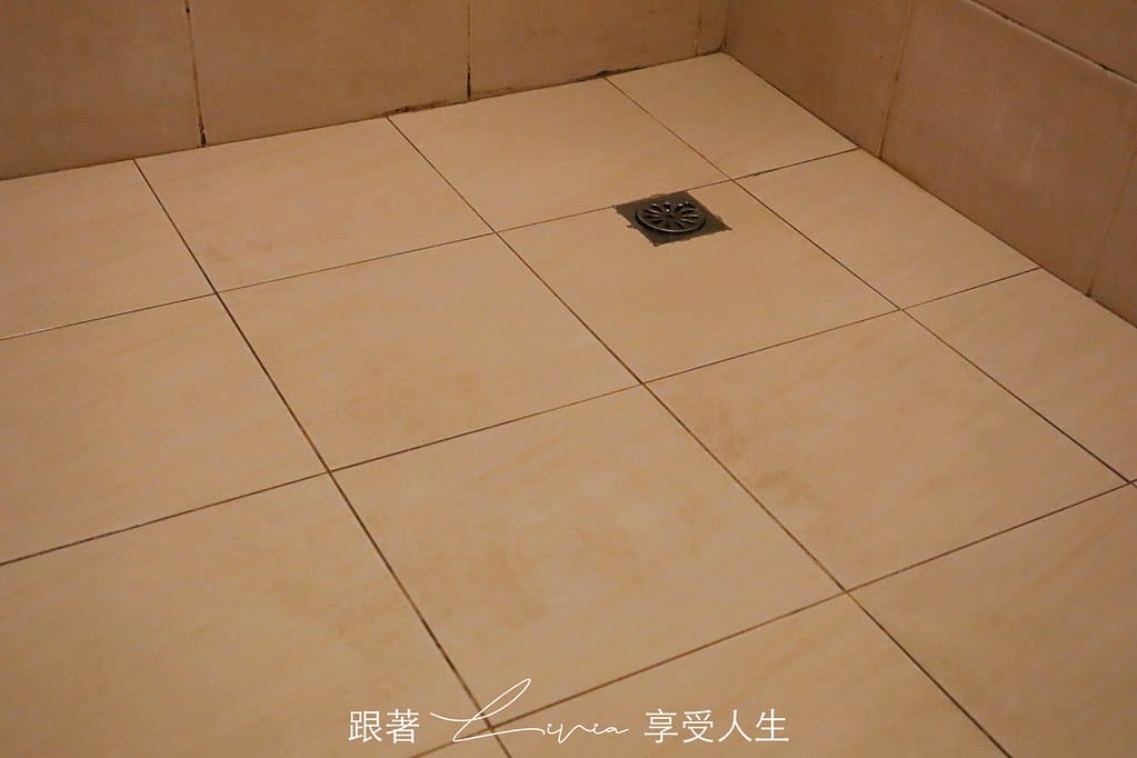 壁虎23