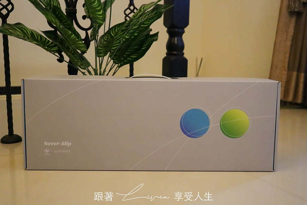 壁虎4