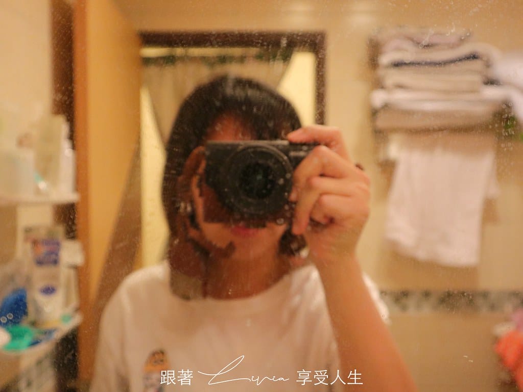 簡易淨29