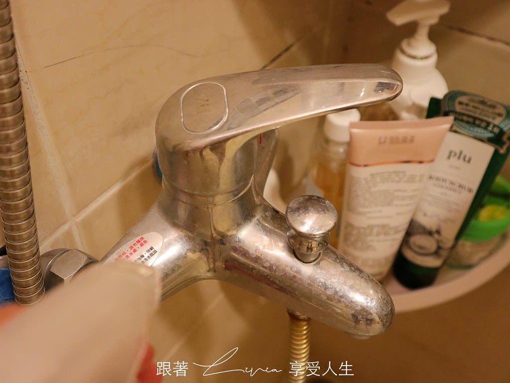 簡易淨19