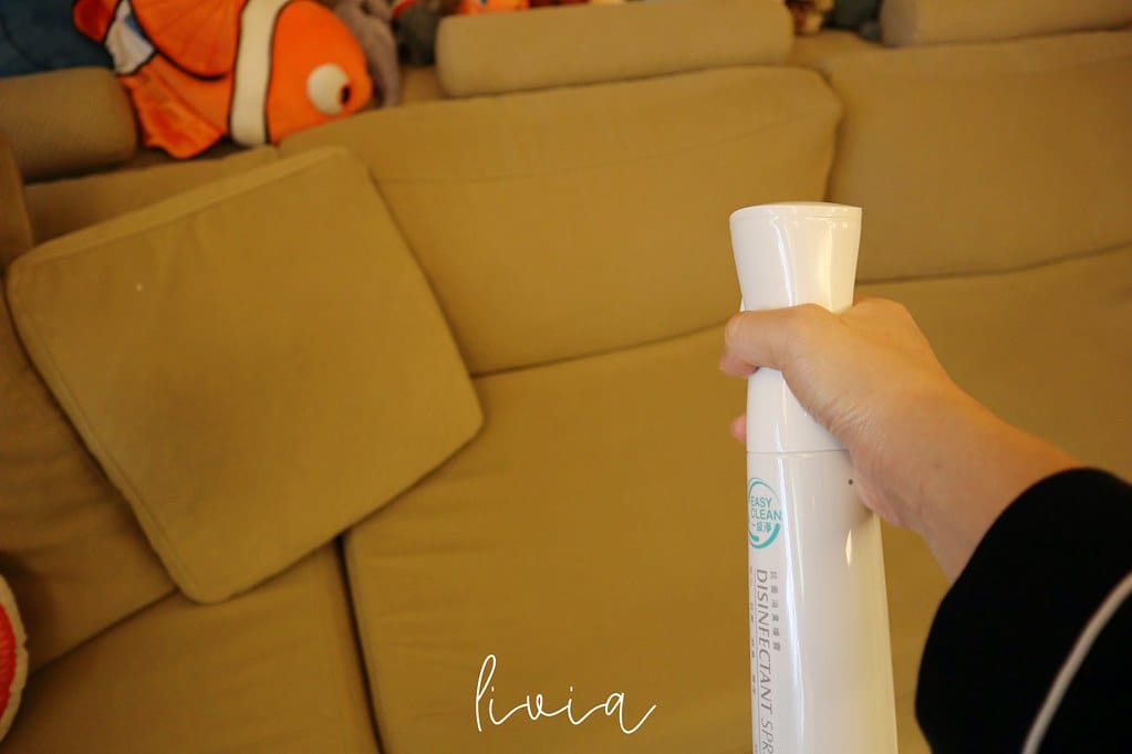 EasyClean22