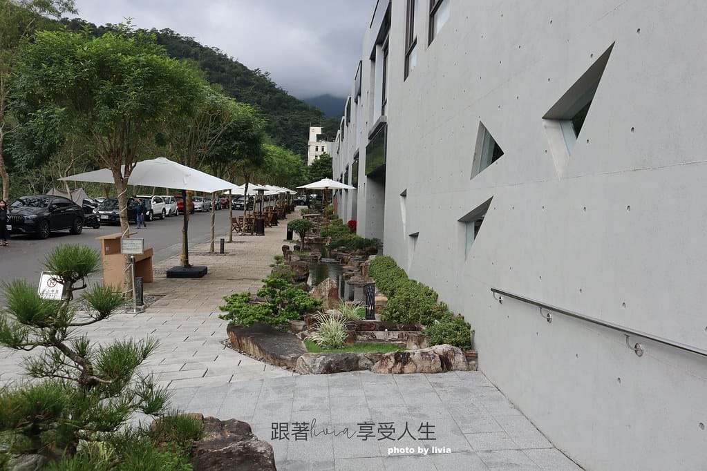 呆水5