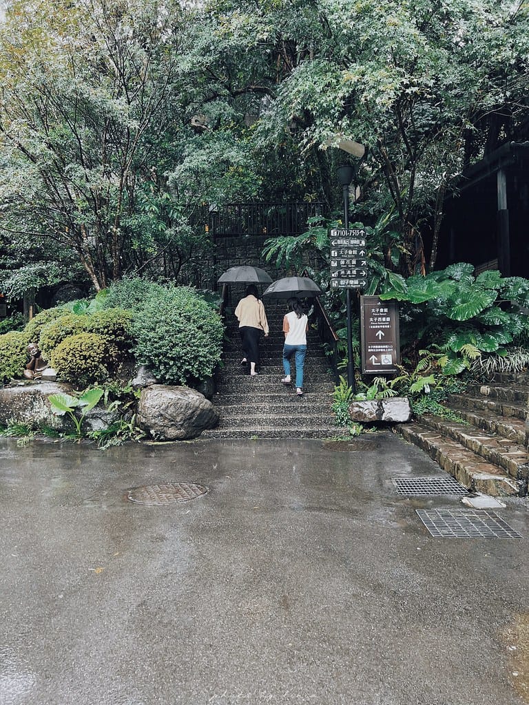 大板根79