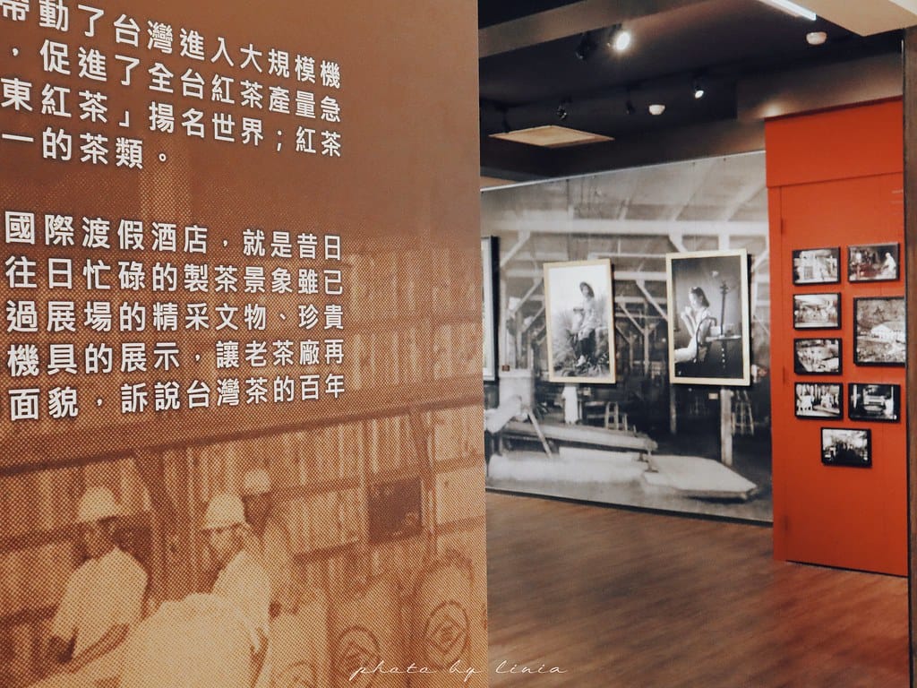 大板根19
