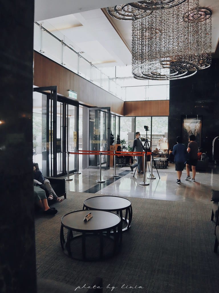大板根6